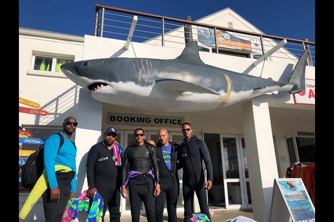 Shark Diving - Final Thoughts