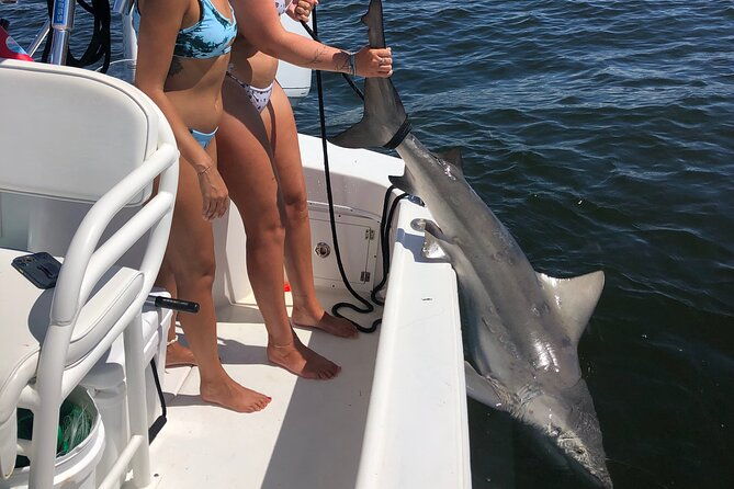 shark-fishing-tampa-bay