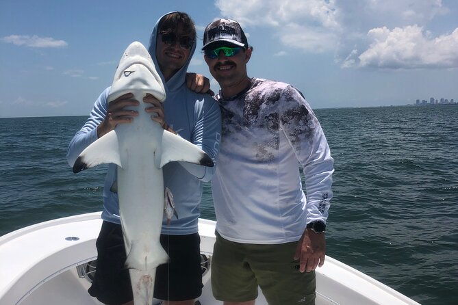 shark-fishing-tampa-bay