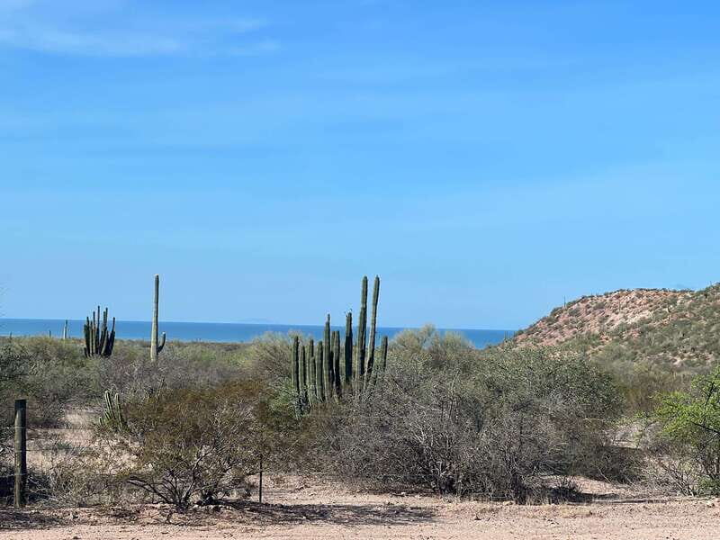 Shark Island: Tour of the largest island in Mexico - Introduction