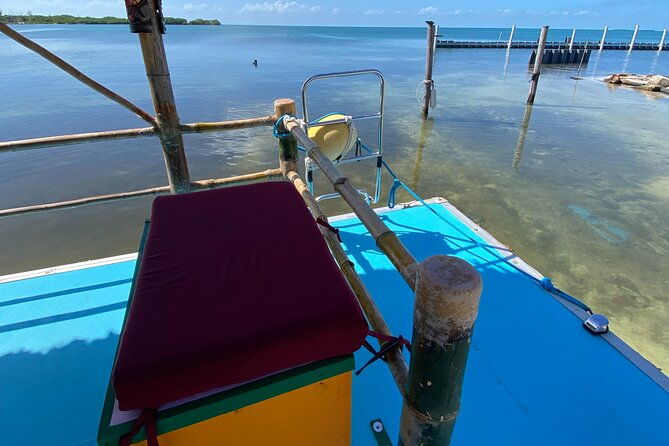 shark-ray-afternoon-swim-tiki-bar-cruise