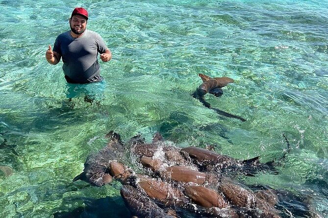 shark-ray-afternoon-swim-tiki-bar-cruise