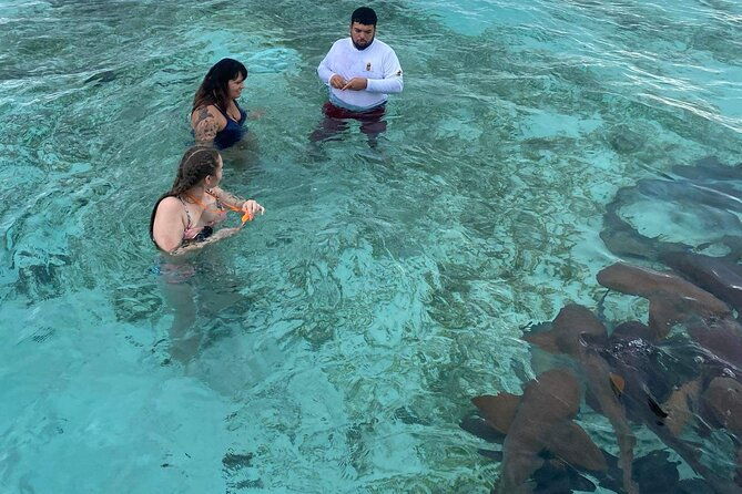 shark-ray-afternoon-swim-tiki-bar-cruise