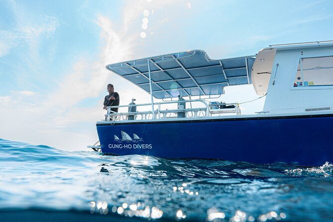 shark-snorkeling-experience-in-south-florida