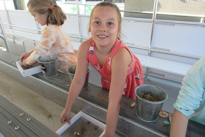 shark-teeth-and-shells-dolphin-and-shelling-tour-boat-clearwater-beach
