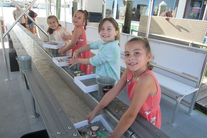 shark-teeth-and-shells-dolphin-and-shelling-tour-boat-clearwater-beach