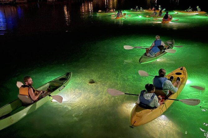 sharkeys-glass-bottom-fish-feeding-led-night-tour-in-clearwater-2
