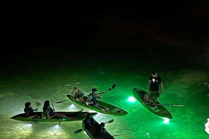 sharkeys-glass-bottom-fish-feeding-led-night-tour-in-clearwater-2