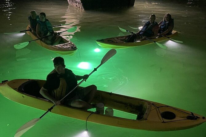 sharkeys-glass-bottom-fish-feeding-led-night-tour-in-clearwater-2