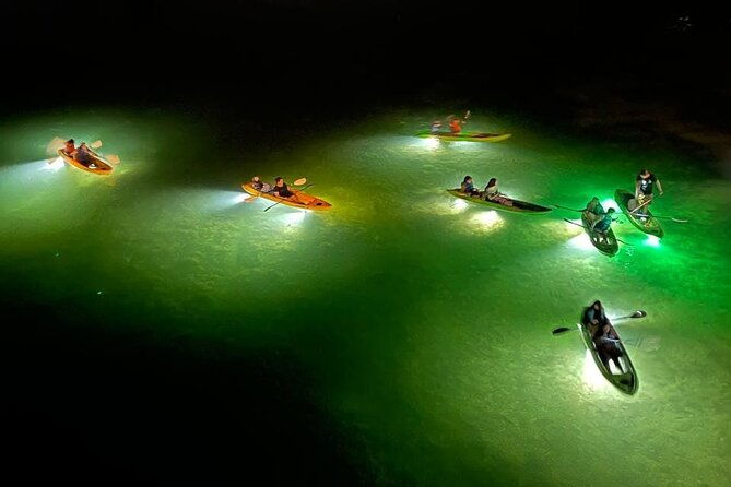 sharkeys-glass-bottom-fish-feeding-led-night-tour-in-clearwater-2