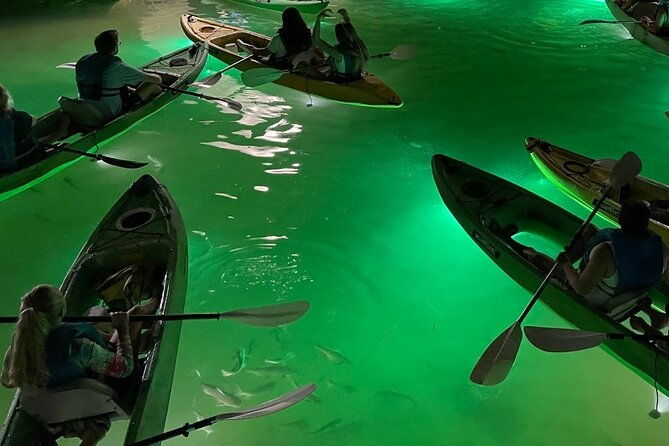 sharkeys-glass-bottom-fish-feeding-led-night-tour-in-clearwater-2