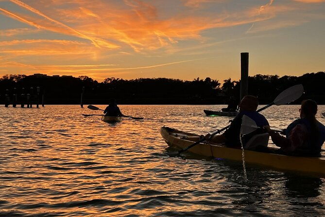 sharkeys-glass-bottom-fish-feeding-led-night-tour-in-sarasota
