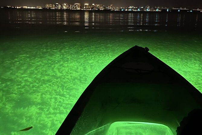 sharkeys-glass-bottom-fish-feeding-led-night-tour-in-sarasota