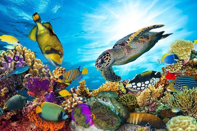 Sharm El Naga Full-Day Snorkeling Tour From Hurghada - Key Points