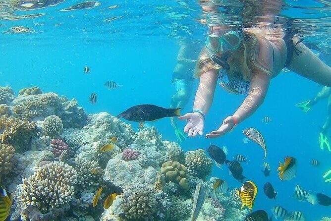 Sharm El Naga Full-Day Snorkeling Tour From Hurghada - What Could Be Better