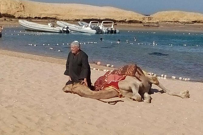 Sharm El Naga National Park water turtle house Full Day Snorkeling Trip-Hurghada - Final Thoughts: Is It Worth It?