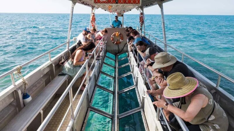 Sharm El-Sheik: Coral Reef Glass-Bottom Boat Tour - Key Points