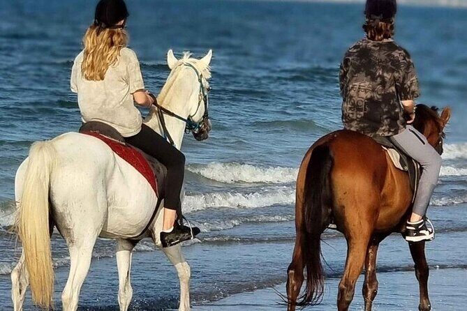 Sharm El-Sheikh: 2-Hour Horse Ride Along Beach & Desert Trails - Key Points