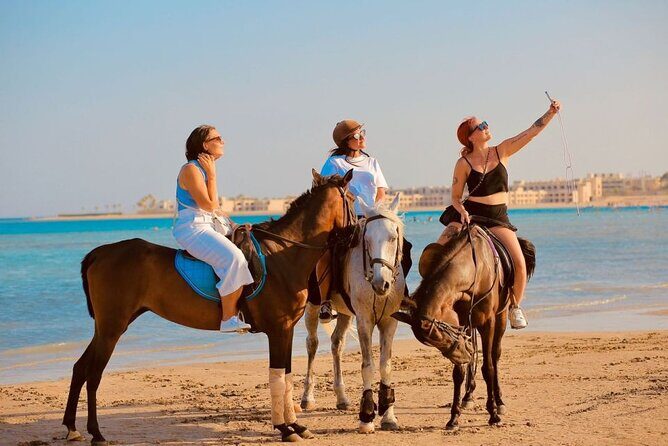 Sharm El-Sheikh: 2-Hour Horse Ride Along Beach & Desert Trails - An In-Depth Look at the Horse Ride Experience in Sharm El-Sheikh