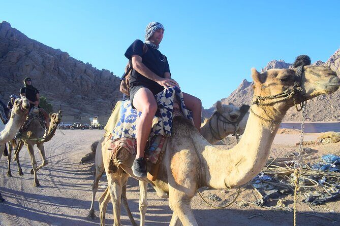 Sharm El-Sheikh ATV Quad Safari & Camel ride with Hotel transfer - FAQ