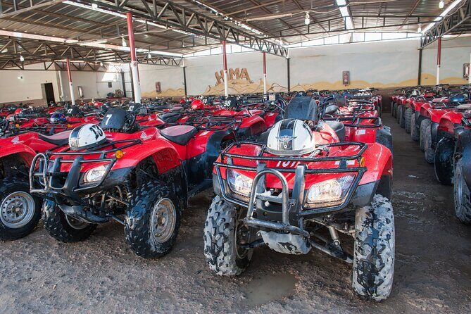 Sharm El Sheikh: ATV Quad Safari With Camel Ride, Dinner & Show - Final Thoughts
