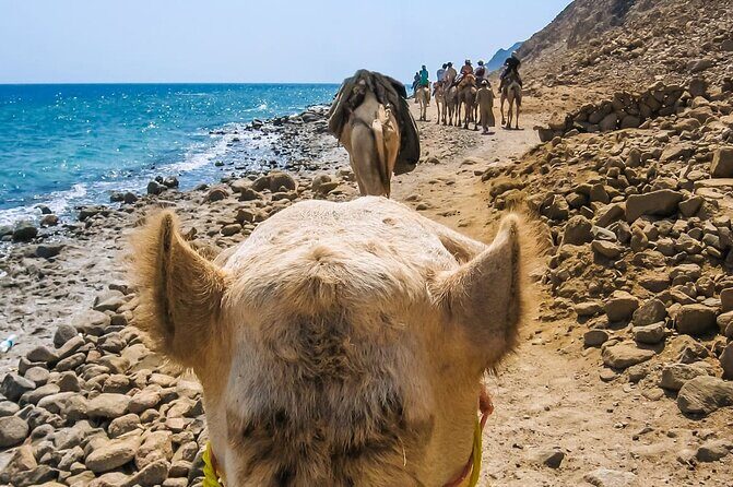 Sharm El Sheikh: Colored Canyon Jeep Tour with Blue Hole & Dahab - What’s Included and What to Expect