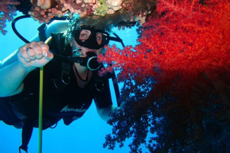 Sharm El Sheikh: Day sail to White island and Ras Mohamed - The Itinerary