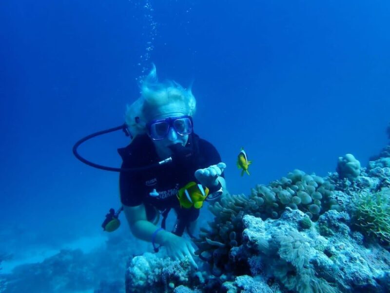Sharm El Sheikh: Day sail to White island and Ras Mohamed - Snorkeling Experience