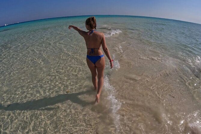 Sharm El-Sheikh: Full-Day Trip to White Island & Ras Mohamed - The Sum Up