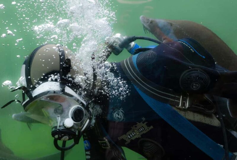 Sharm El-Sheikh: Guided Shore Scuba Diving at 2 Dives - Introduction