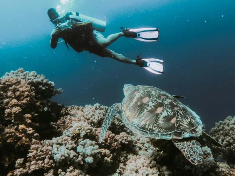 Sharm El-Sheikh: Guided Shore Scuba Diving at 2 Dives - Frequently Asked Questions