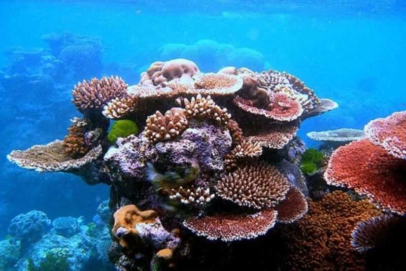 Sharm El-Sheikh: Jeep Adventure to Blue Hole, Canyon & Dahab - An Overview of the Tour Experience