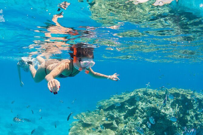 Sharm El Sheikh: Jeep Adventure to Blue Hole, Canyon & Dahab - Wrapping It Up