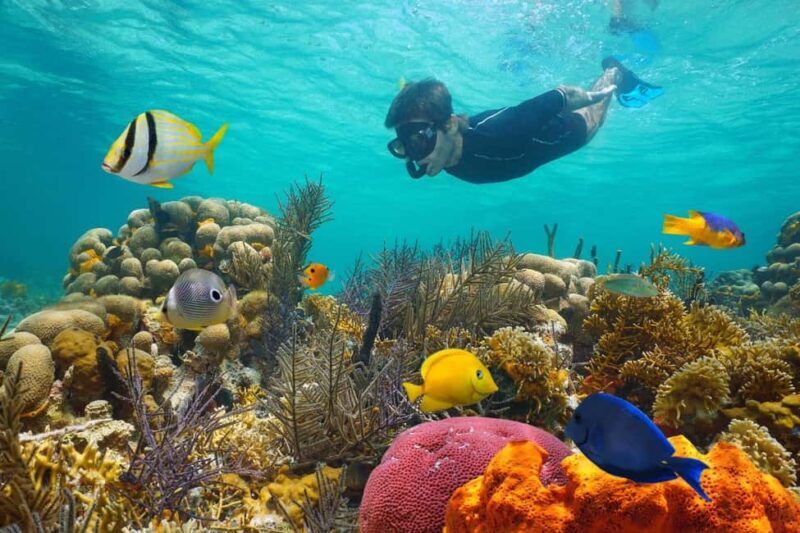 Sharm El Sheikh: Luxury boat Cruise with Snorkeling & Lunch - Potential Drawbacks & Considerations