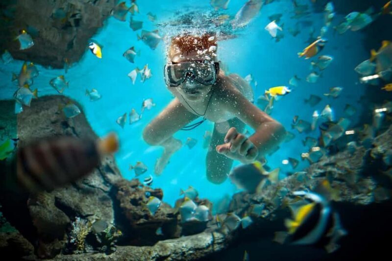 Sharm El Sheikh: Luxury boat Cruise with Snorkeling & Lunch - Final Thoughts: Who Is This Tour Best For?