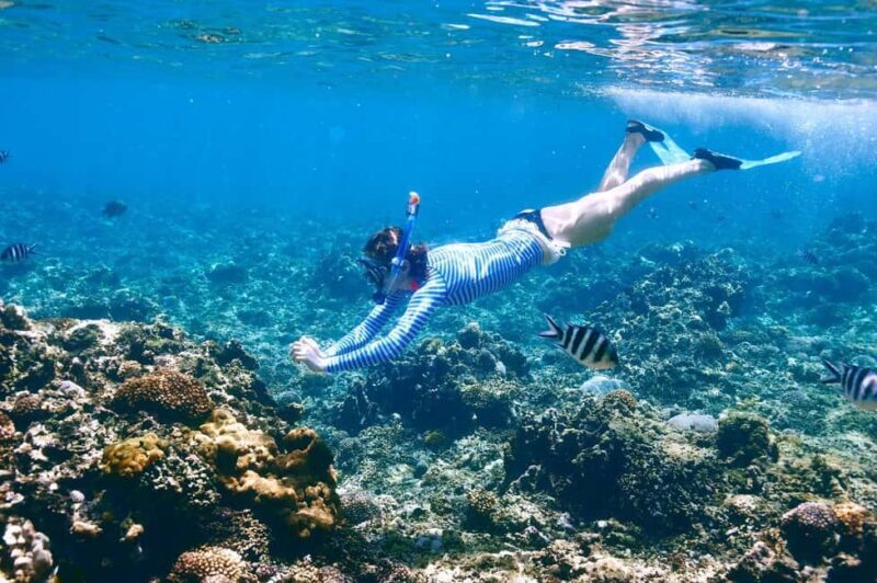 Sharm El Sheikh: Luxury boat Cruise with Snorkeling & Lunch - FAQ