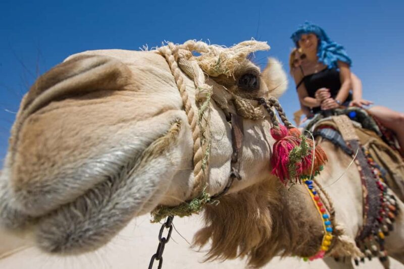 Sharm El-Sheikh: Morning Desert ATV Quad or Buggy Adventure - An In-Depth Look at the Desert Adventure Experience