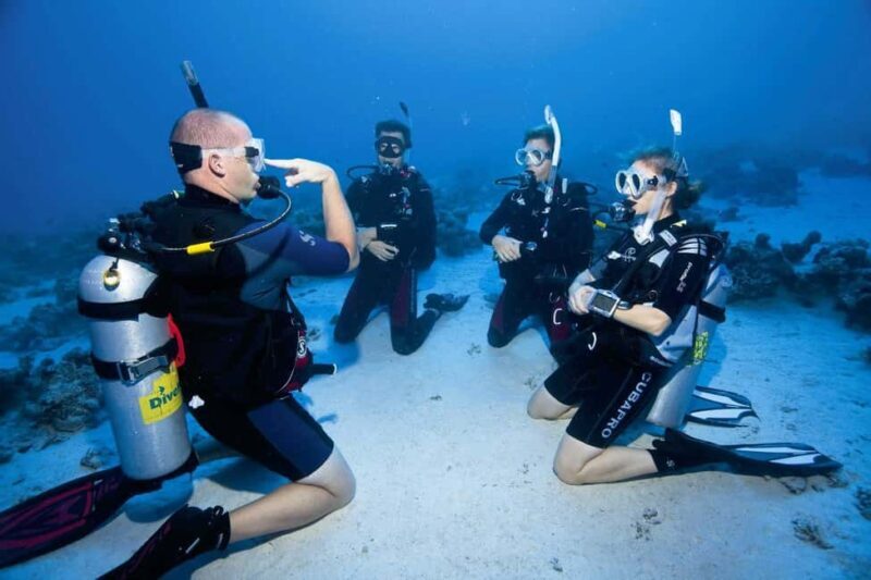 Sharm el Sheikh: PADI Diving Courses Package - An In-Depth Look at the Sharm el Sheikh PADI Diving Courses Package