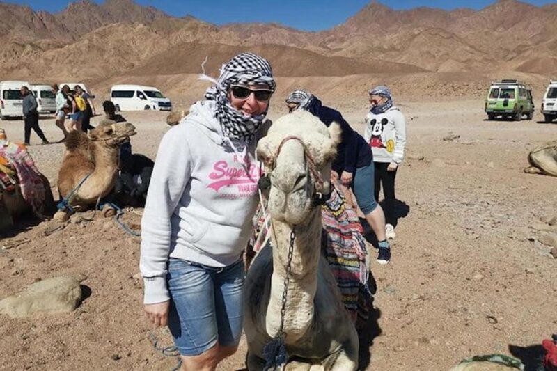 Sharm El-Sheikh: Parasailing, Camel Ride, Dive & Quad Bike - FAQ