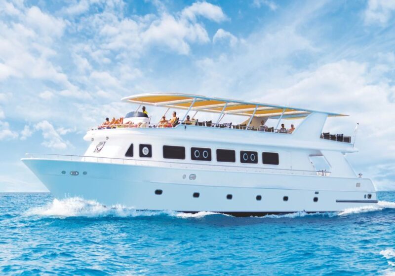 Sharm el-Sheikh: Premium Ras Mohammed & White Island Cruise - Key Points