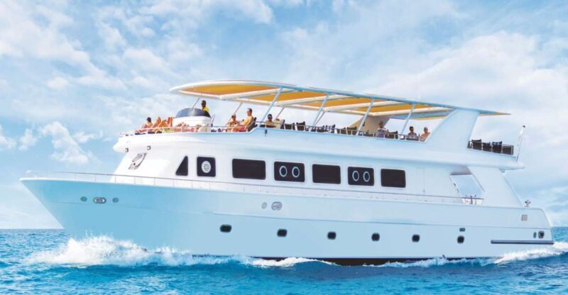 Sharm el-Sheikh: Premium Ras Mohammed & White Island Cruise - What to Expect on the Tour