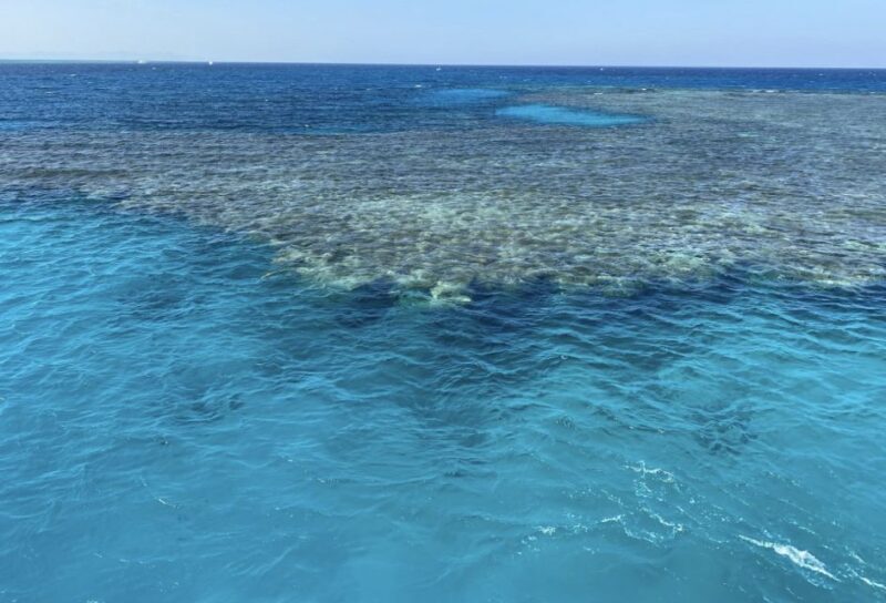 Sharm el-Sheikh: Premium Ras Mohammed & White Island Cruise - What the Reviews Say
