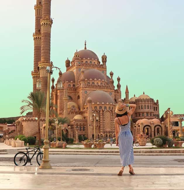 Sharm El Sheikh: Private City Tour with Seafood Dinner - Who Is This Tour Best For?