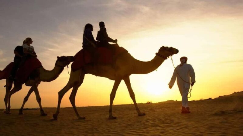 Sharm El Sheikh: Quad Biking, Camel Ride & Bedouin Dinner. - The Itinerary in Detail: What You Can Expect