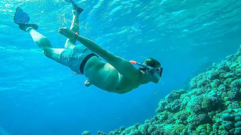 Sharm El Sheikh: Ras Mohamed and White island cruise - Key Points
