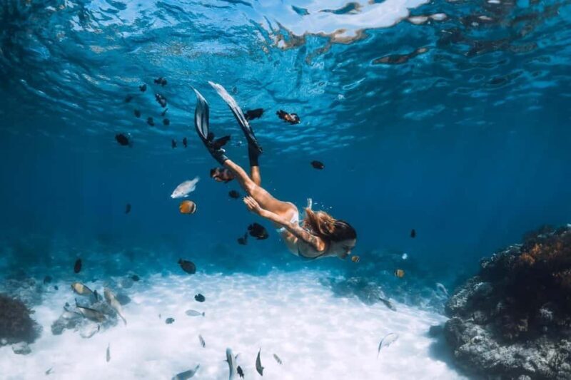 Sharm El Sheikh: Ras Mohamed and White island cruise - What Reviewers Say
