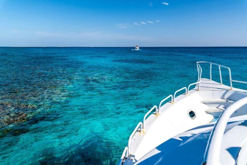 Sharm El Sheikh: Ras Mohamed and White island cruise - Final Thoughts