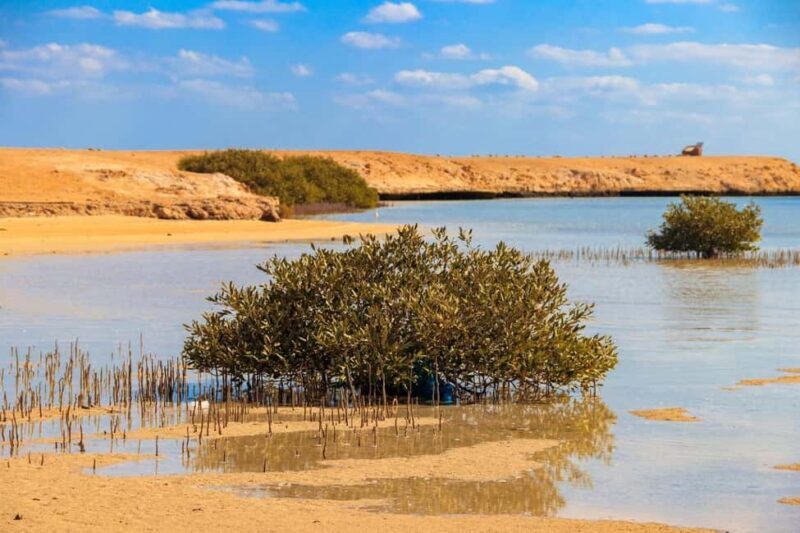 Sharm El-Sheikh: Ras Mohamed Half-Day Tour & Allah's Gate - Practical Details and Tips