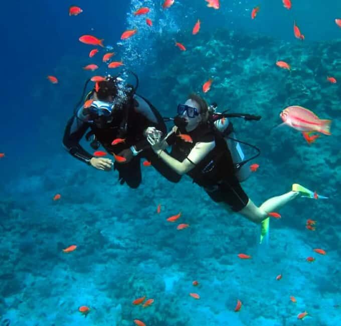 Sharm El Sheikh: Ras Mohamed & White Island Dive & Snorkel - Key Points