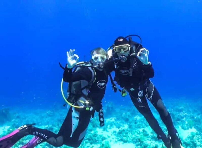 Sharm El Sheikh: Ras Mohamed & White Island Dive & Snorkel - Who Will Love This Experience?